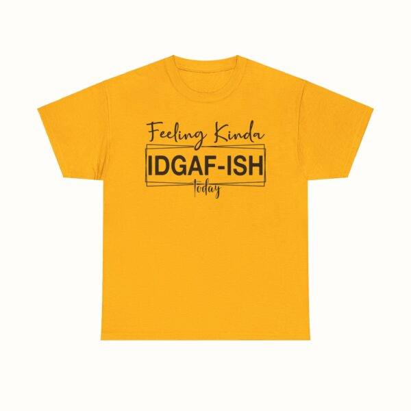 Unisex Funny Offensive Shirt: IDGAF Mood