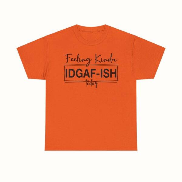Unisex Funny Offensive Shirt: IDGAF Mood
